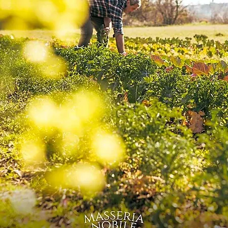 Masseria Nobile Relais Resort 5*